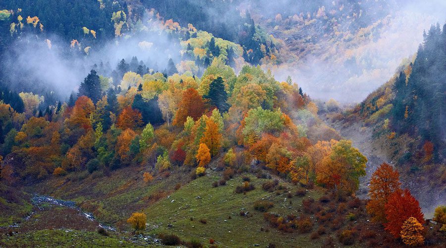 Буковель
